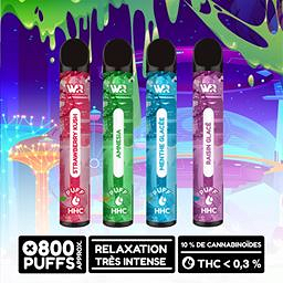 Puff HHC 10% (Menthe Glacée)